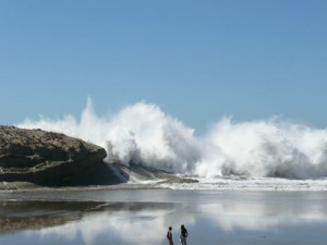 Southerly swells Castlepoint Reef