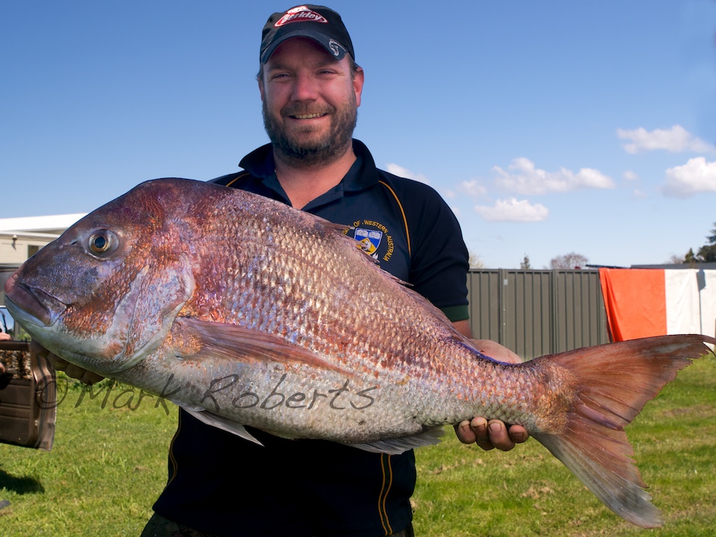 James Benge snapper