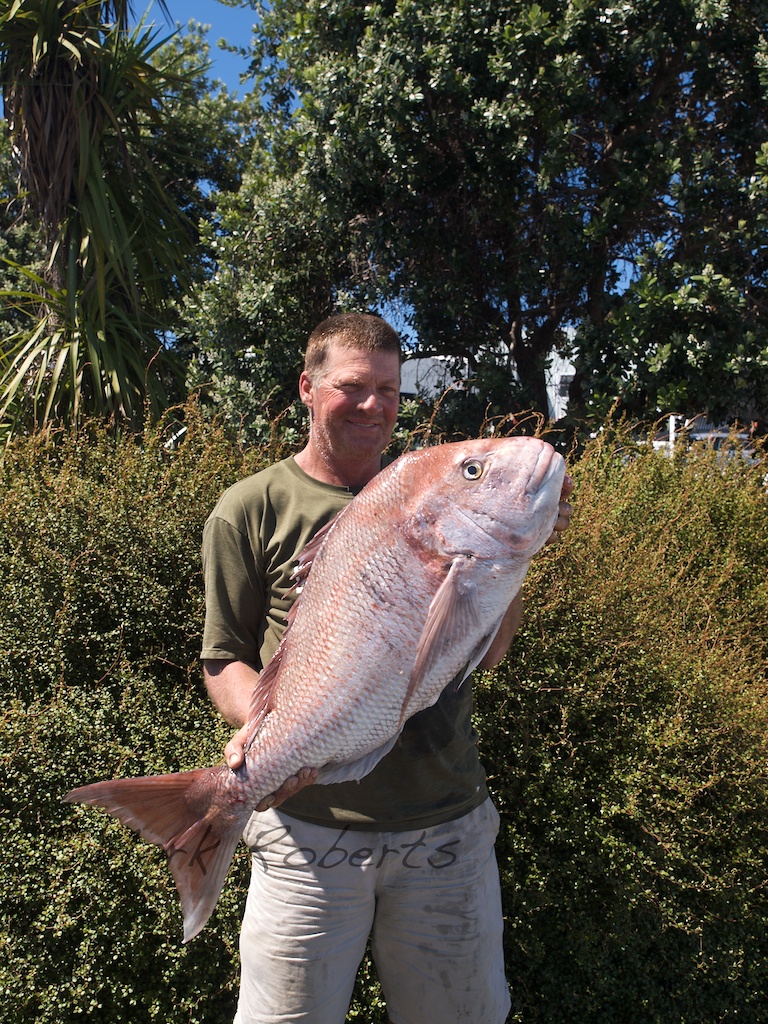 Kevin O'Connor snapper